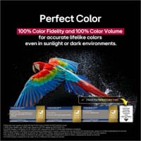 Телевизор OLED 55" 4K OLED55G5RLA.ARUG LG - фото 12