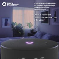 Умная колонка Yandex Станция Мини 3 Алиса черный 12W 1.0 BT/Wi-Fi (YNDX-00027BLK) - фото 7