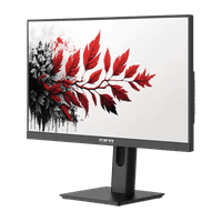 Монитор RDW2701K ЕМТЦ.467846.015-01 1920x1080(FHD) IPS 120Hz 5мс 178°/178 300cd VGA HDMI DP аудио вход/выход, наклон, Внешний.БП, Динамики, черный, VESA 100*100, реестр 10538559 - фото 2