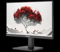 Монитор RDW2401K ЕМТЦ.467846.006 23,8" 1920x1080(FHD) IPS 120Hz 4мс 178°/178 350cd VGA HDMI DP аудио вход/выход 1*USB-B, 4*USB-A наклон, внутренний БП, Динамики, черный, VESA 100*100, реестр 10553885 - фото 3