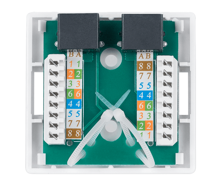 Розетка компьютерная RJ-45(8P8C), категория 6, двойная Cabeus WS-8P8C-Cat.6-2 Розетка компьютерная RJ-45(8P8C), категория 6, двойная, внешняя, Dual IDC