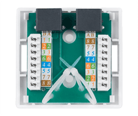 Розетка в сборе Cabeus, 2x RJ45(8P8C), кат. 6, неэкр., внешняя, белый, (WS-8P8C-Cat.6-2) - фото 1