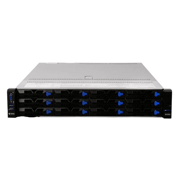 Серверная платформа SNR SNR-SR2412LS-NV