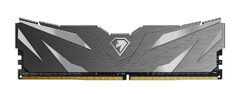 Оперативная память Netac Shadow II 16GB DDR4-2666 (PC4-21300) C19 19-19-19-43 1.2V Memory module (DIMM) Black