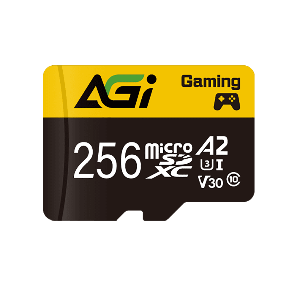 AGI microSDXC 256GB Supreme TF138 UHS-I U3 V30 A2 95/85 МБ/с