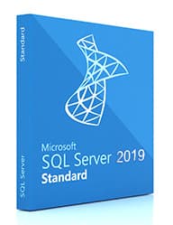 Microsoft SQL Server 2019 Standard Edition 10 CALs DVD