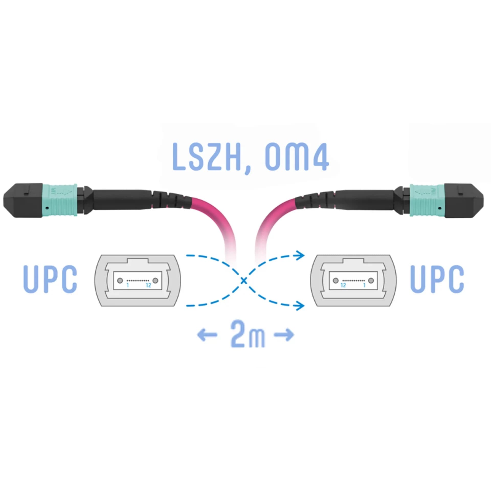 Патчкорд оптический MPO/UPC FF MM (50/125 OM4), 12 волокон, 2 метра (Cross)