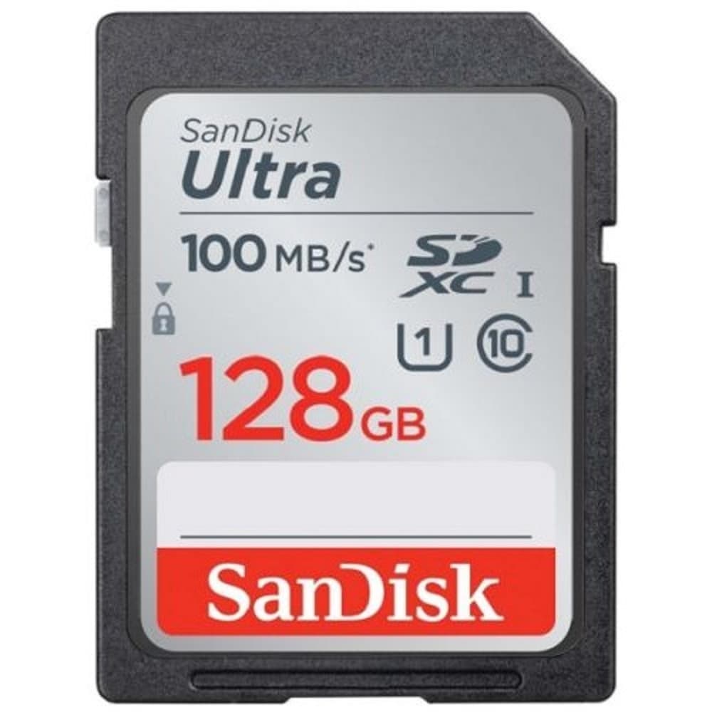 SecureDigital 128GB SanDisk SDHC Class10 (SDSDUNR-128G-GN3IN)