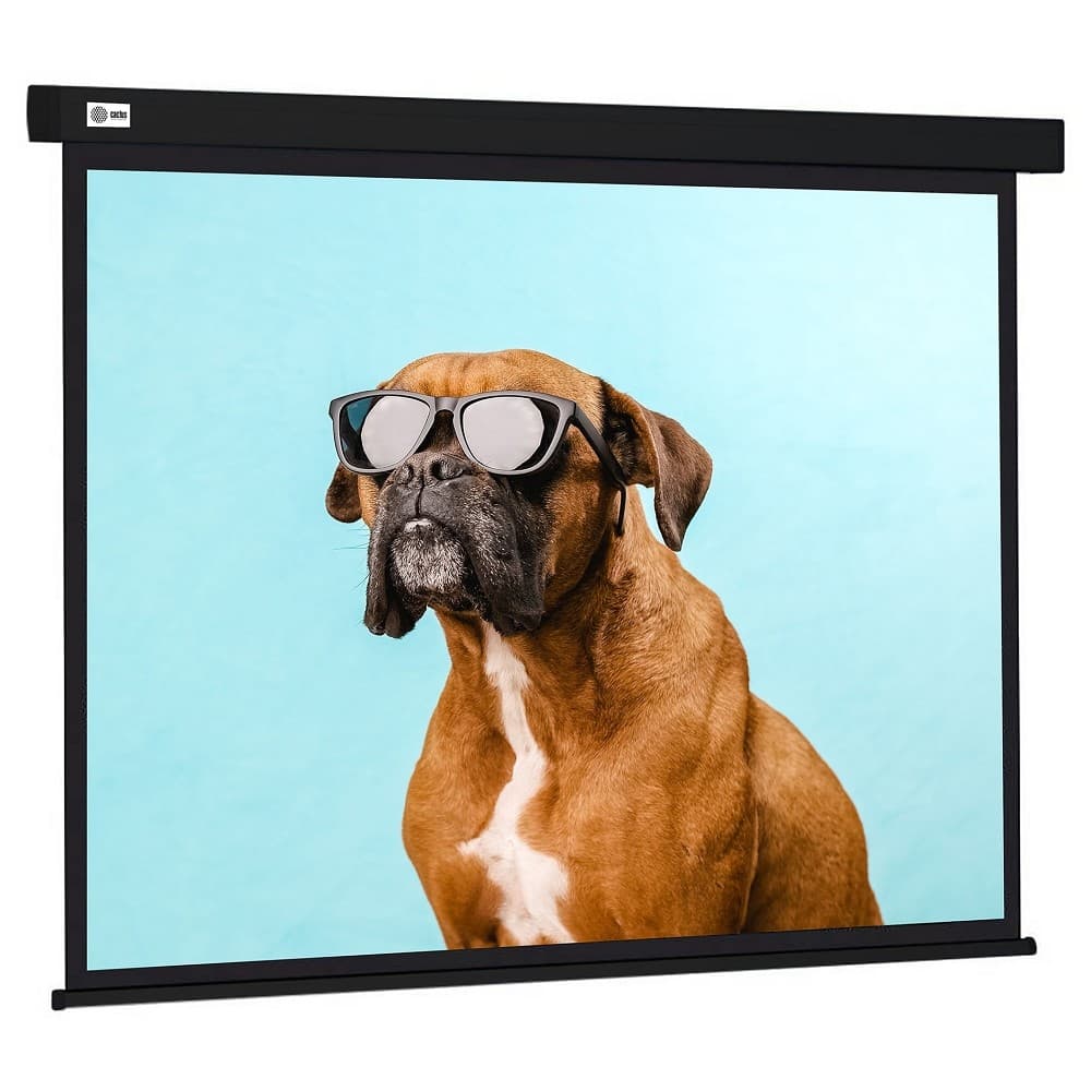 Экран Cactus Wallscreen CS-PSW-183X244-BK 183 x 244см 4:3 настенно-потолочный рулонный черный
