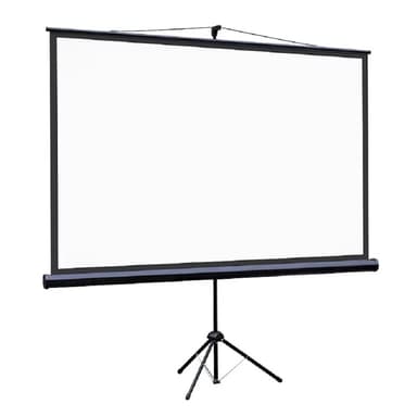 Lumien Eco View LEV-100114 Экран на штативе 115x200 см (раб.область 109х194 см) (88") Matte White 16:9