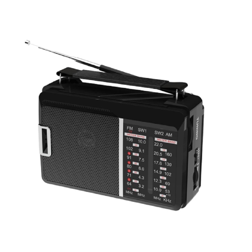 Радиоприемник Ritmix RPR-190