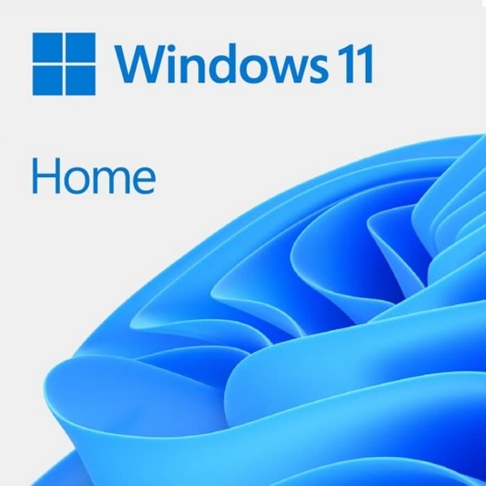 HAJ-00089 Windows 11 Home FPP P2 32-bit/64-bit RUS/EFTA USB (HAJ-00089)