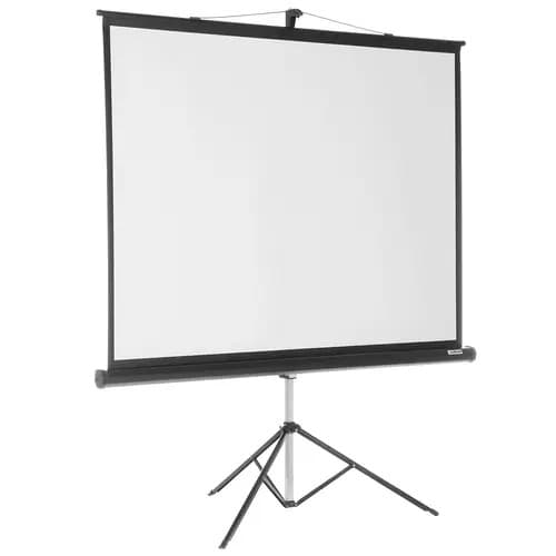Экран на треноге Lumien 128x171см Master View LMV-100106 4:3 напольный рулонный
