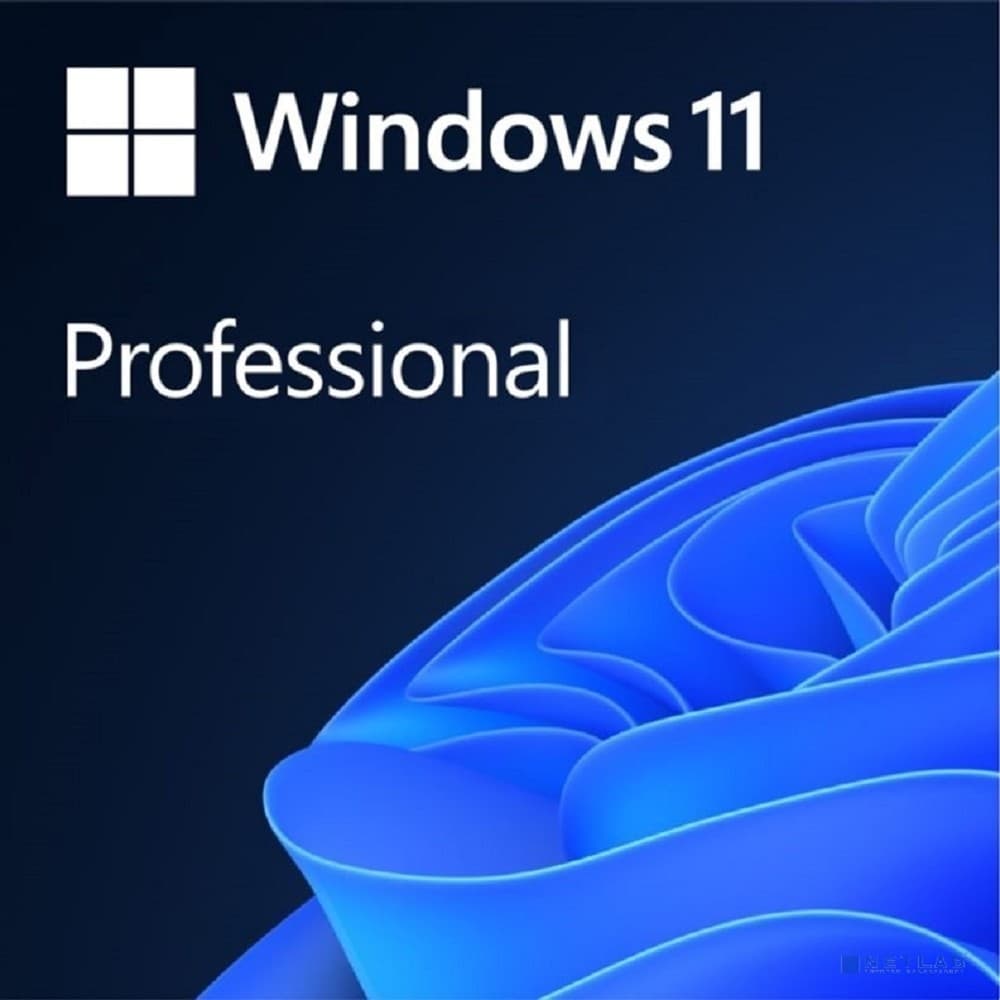 Программное обеспечение Microsoft Операционная система Windows 11 Professional FPP (BOX) 64-bit English Int 1 License non-EU/EFTA USB Flash Drive (HAV-00164)