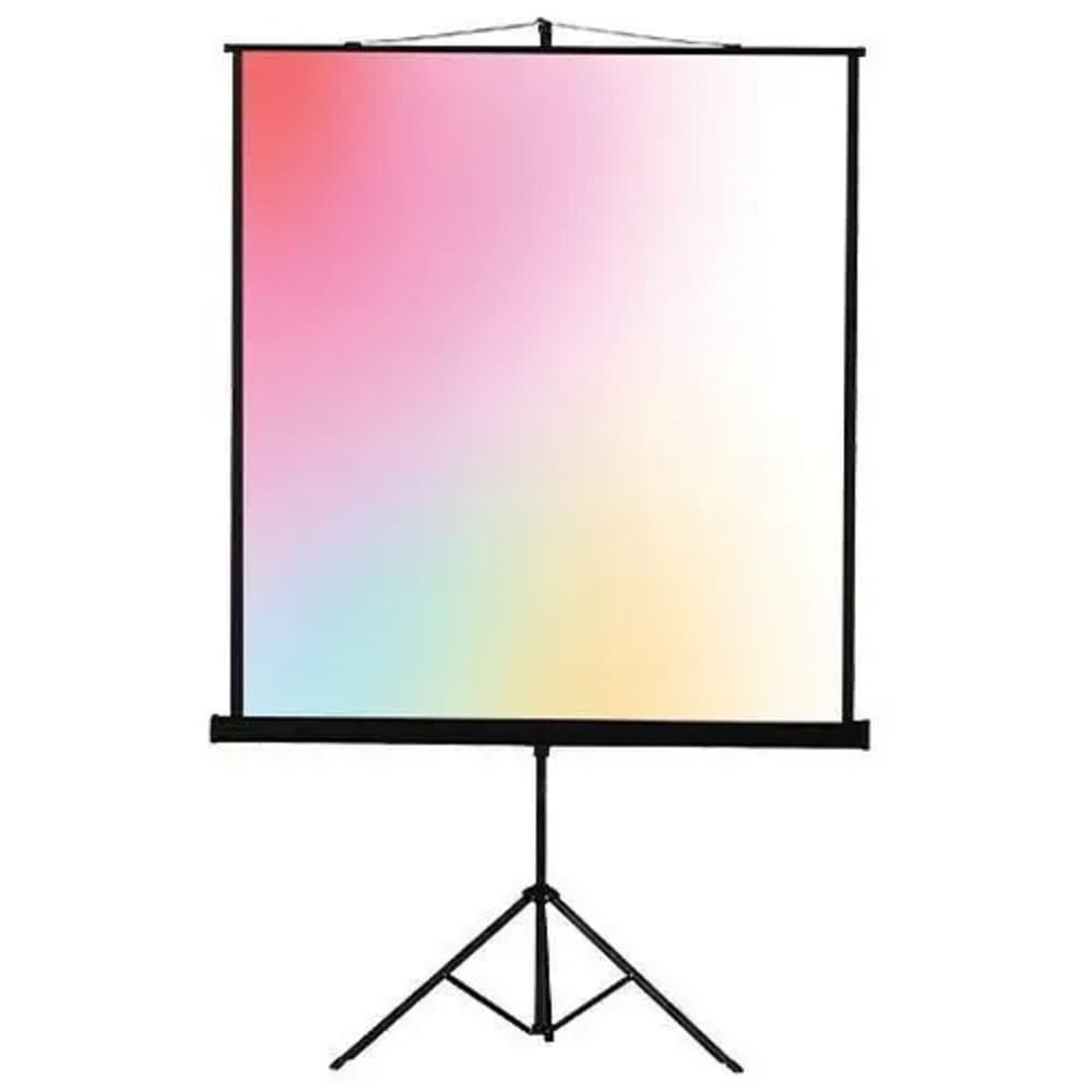 Lumien Eco View LEV-100113 Экран на штативе 110x192 см (раб.область 104x186 см) (84") Matte White 16:9