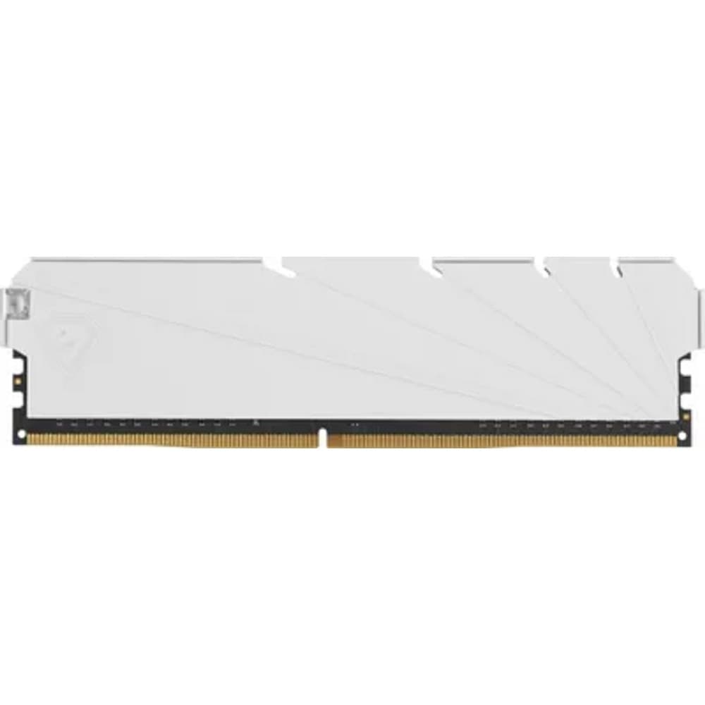 Netac DDR4 DIMM 8GB NTSSD4P32SP-08W PC4-25600, 3200MHz