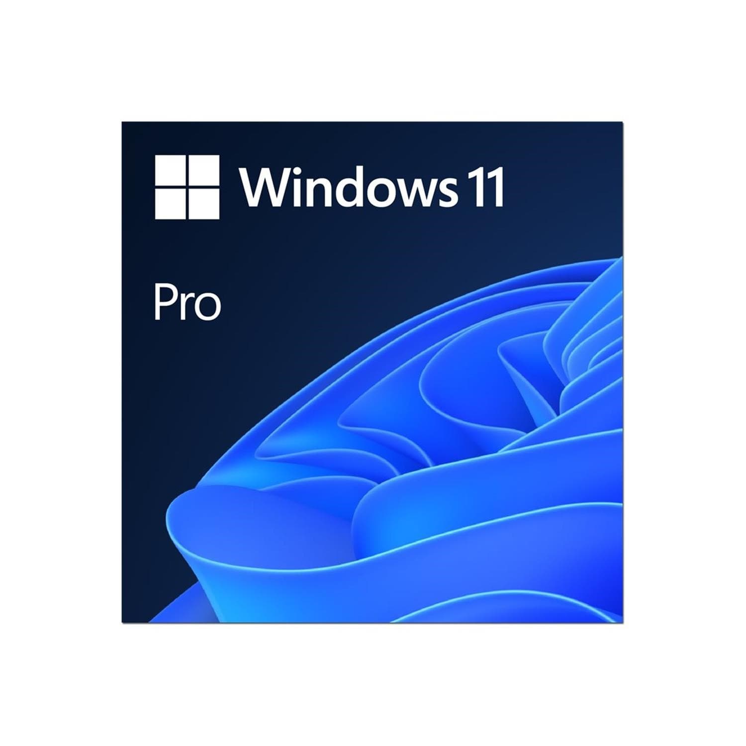 FQC-10572 - Win Pro 11 64-bit All Lng PK Lic Online DwnLd NR