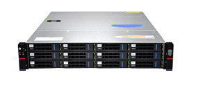 Серверный корпус/ Gooxi RMC2112-670-HS-D 2U 12bay chassis ,direct backplane, rear 2*2.5"SAS/SATA, 1300W 1+1, EU power cables, rail kit