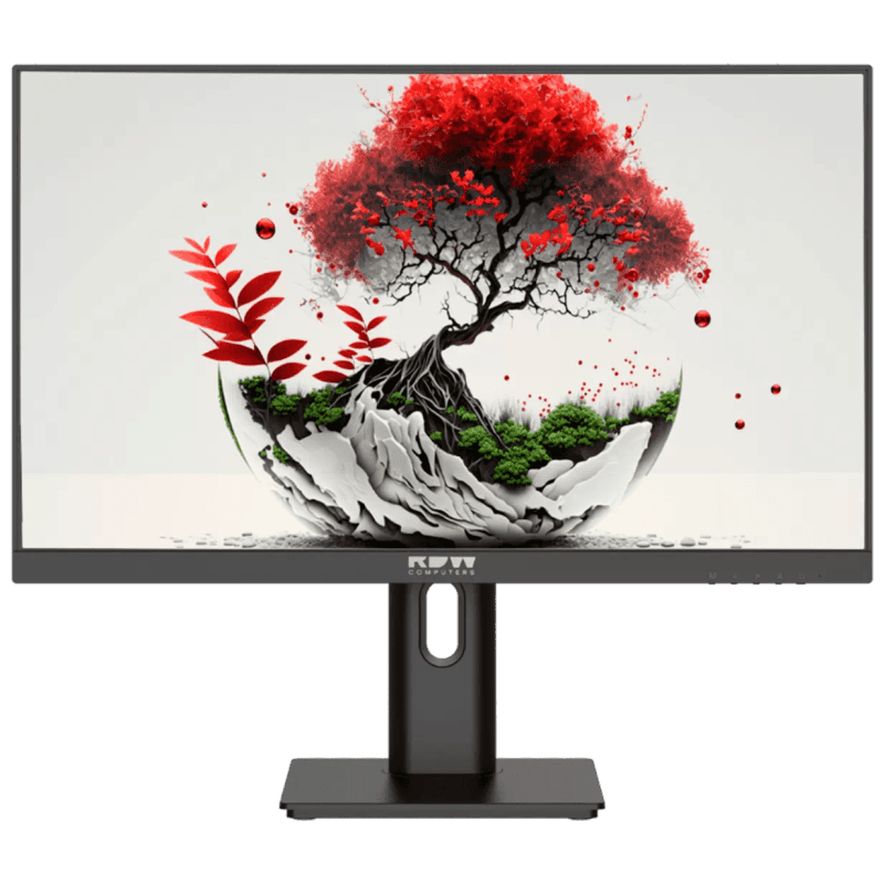 Монитор RDW2201K ЕМТЦ.467846.009 21,5" 1920x1080(FHD) IPS 60Hz 5мс 178°/178 250cd VGA HDMI DP Наклон, Внешний БП, Динамики, черный, VESA 100*100, реестр 10538523