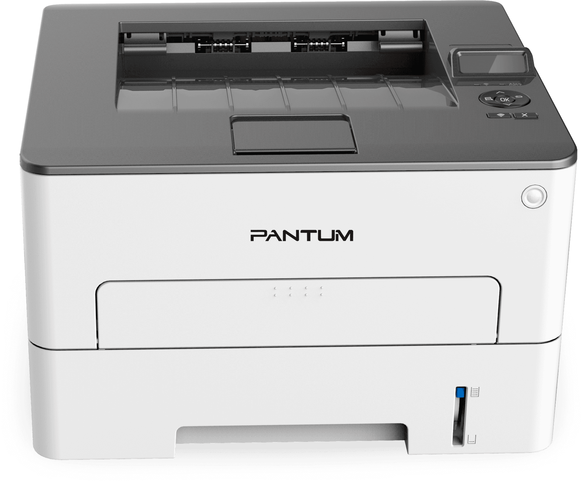 Принтер лазерный/ Pantum P3010DW