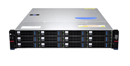 Серверный корпус/ Gooxi RMC2112-670-HSE-D 2U 12bay chassis ,Expander backplane, rear 2*2.5"SAS/SATA, 1300W 1+1, EU power cables, rail kit