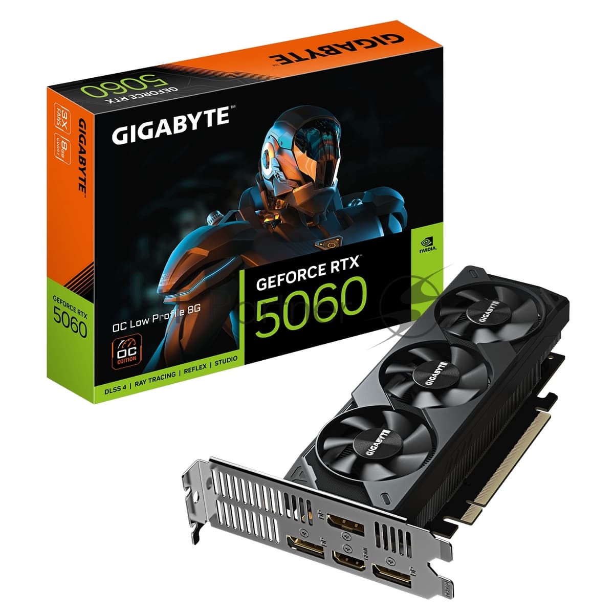 Видеокарта Gigabyte PCI-E 5.0 GV-N5060OC-8GL 1.0 NVIDIA GeForce RTX 5060 8Gb 128bit GDDR7 2512/28000 HDMIx1 DPx3 HDCP Ret low profile