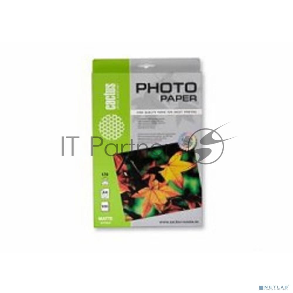 Фотобумага Cactus CS-MA4170100 A4/170г/м2/100л./белый матовое для струйной печати