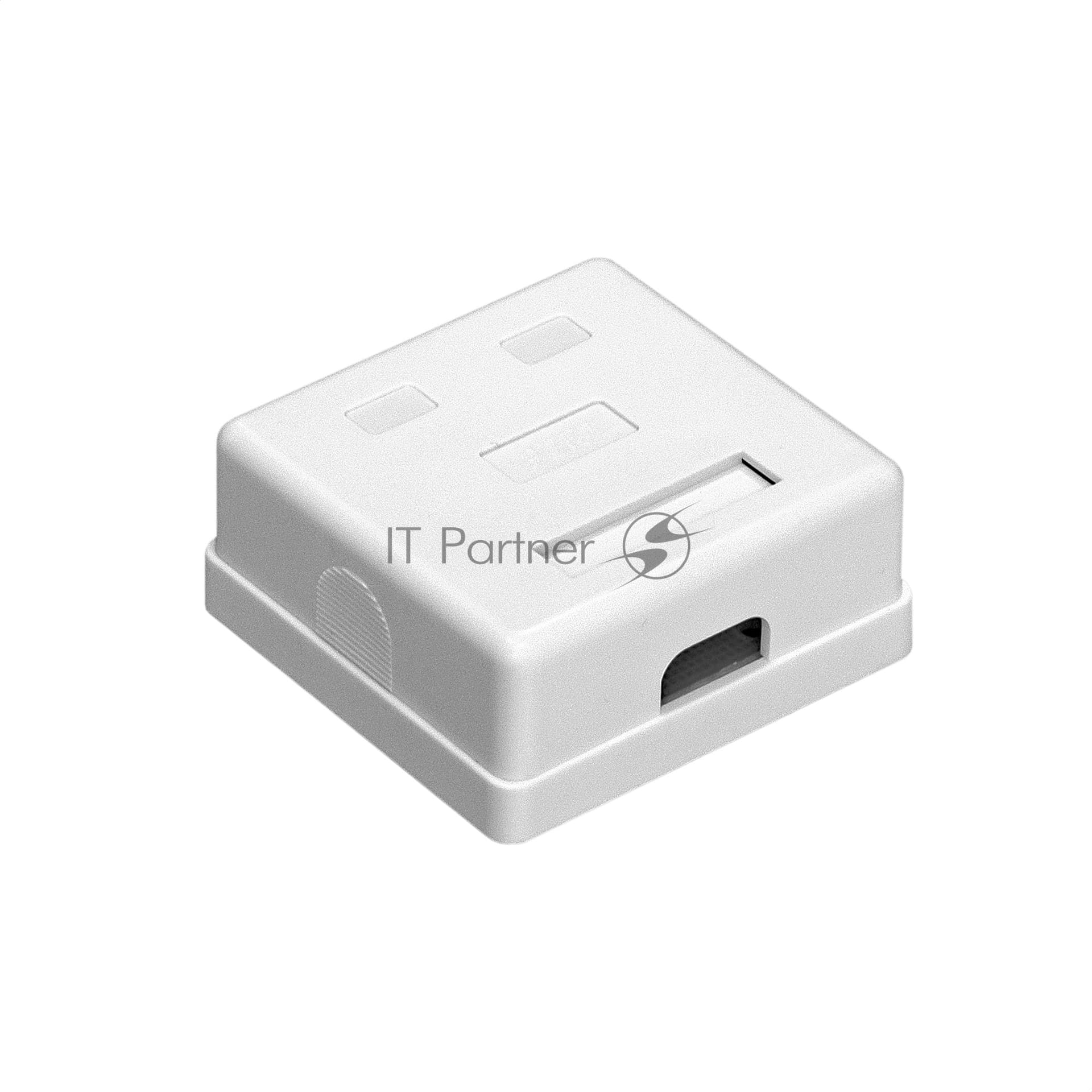 Розетка компьютерная двойная ExeGate SM2-RJ45-C5 RJ-45 кат.5/5E UTP Krone/110