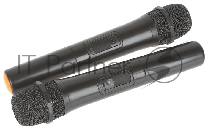 Колонка Eltronic 12" динамик 2шт/12" с TWS черный