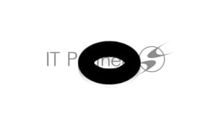 Уплотнитель кофевода Saeco OR 0055-15