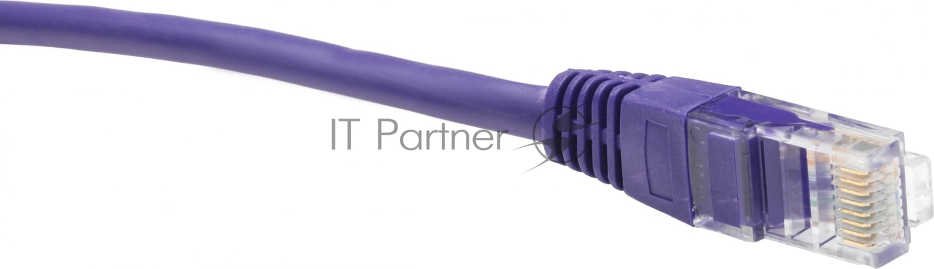 Патч-корд Premier PP12-1.5M/V 1000Гбит/с UTP 4 пары cat.5E CCA molded 1.5м фиолетовый RJ-45 (m)-RJ-45 (m)