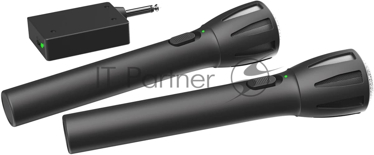 RITMIX RWM-302 black