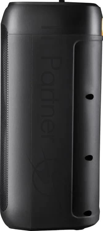 Портативная акустика Defender Boomer 85 Black