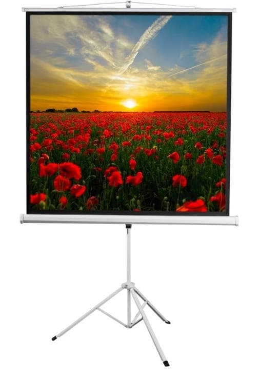 Экран Digis 96" 172x172см Kontur-D DSKD-1104 1:1 напольный рулонный