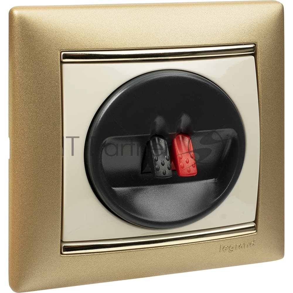 Розетка акустич. Legrand 774123 Valena слн. кость