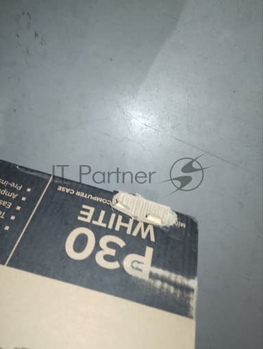 (Поврежденная упаковка) Корпус MiniTower Zalman P30 White (mATX, без БП, ARGB, USB3.2 Type-A + USB3.2 Type-C) (Zalman P30 White)