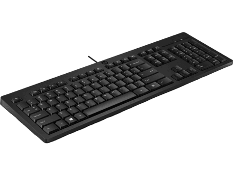 Клавиатура Keyboard HP 125 Wired (black)