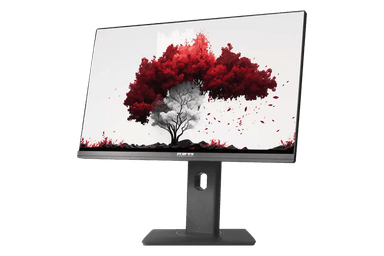 Монитор RDW 2402K (F00B3) 23,8" Monitor 1920x1080, IPS, 16:9, 250cd/m2, 1000:1, 5ms, 178°/178°, 75Гц, HDMI, DP, -5° /~23°, регулировка по высоте 130мм, веб-камера, внешний БП, МПТ