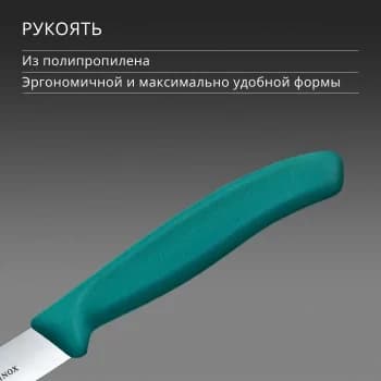 Нож кухонный Victorinox Swiss Classic (6.7704.C1) стальной универсальный для чистки овощей и фруктов лезв.100мм прямая заточка зеленый