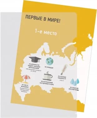 Папка-уголок Silwerhof Eco SE-E120/CLEAR тисненый A4 пластик 0.12 мм прозрачный