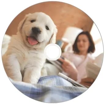 Диск CD-R Verbatim 700Mb 52x Cake Box (50шт) Printable