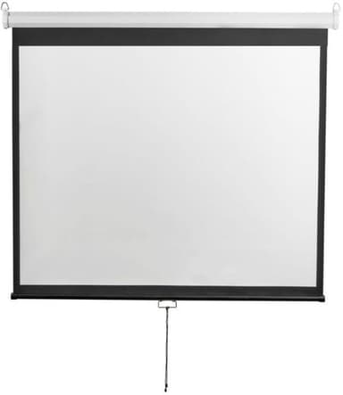 Экран настенный Digis DSOD-4306 Optimal-D, формат 4:3, 150", 308x229, рабочая поверхность 300x220, MW)