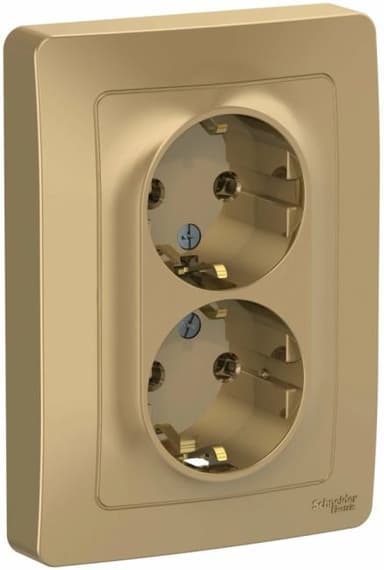 Розетка Systeme Electric BLNRS001024 2-ая с/з без шторок, 16А, 250В Титан внутр