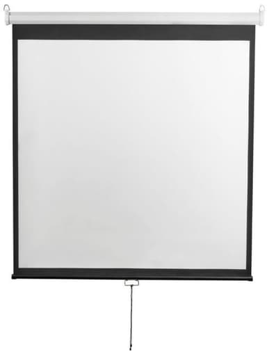 Экран Digis Optimal-D <DSOD-1107> (134", 1:1, 248x249см, Matte White)