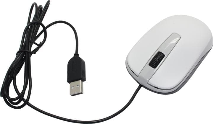 Genius Optical Mouse DX-120 <White> (RTL) USB 3btn+Roll (31010105102/31010010401)