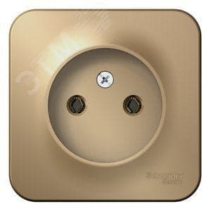 Розетка Systeme Electric BLNRA000114 б/з без шторок 16А, 250В, изолир. пластина Титан наруж