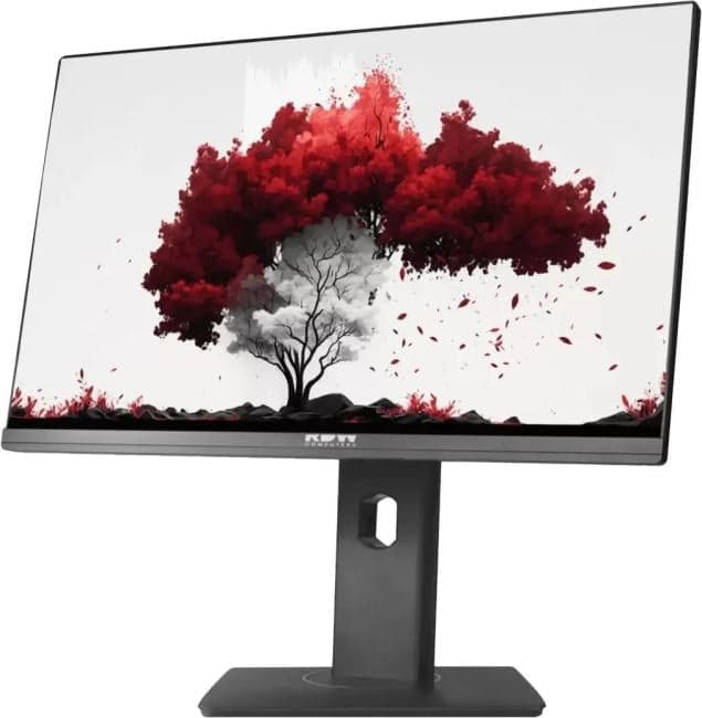 RDW Computers 23.8" RDW2402K/F00B3 черный IPS 16:9 HDMI M/M Cam матовая HAS Piv 250cd 178гр/178гр 1920x1080 75Hz VGA DP