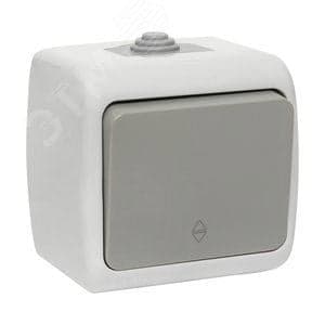EKF EFV10-025-30-54 Выключатель Мурманск проходной 1-клавишный 10А IP54 серый (EFV10-025-30-54)