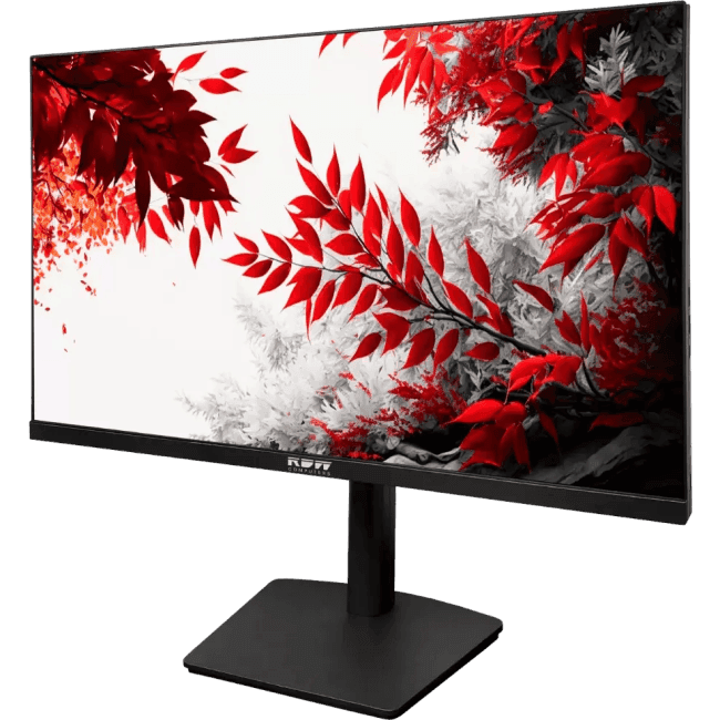 3207K/Q12В3180V2A1 Монитор RDW Computers 31.5" RDW3207 черный IPS 1ms HDMI M/M 2560x1440 180Hz VGA DP QHD USB (RUS)