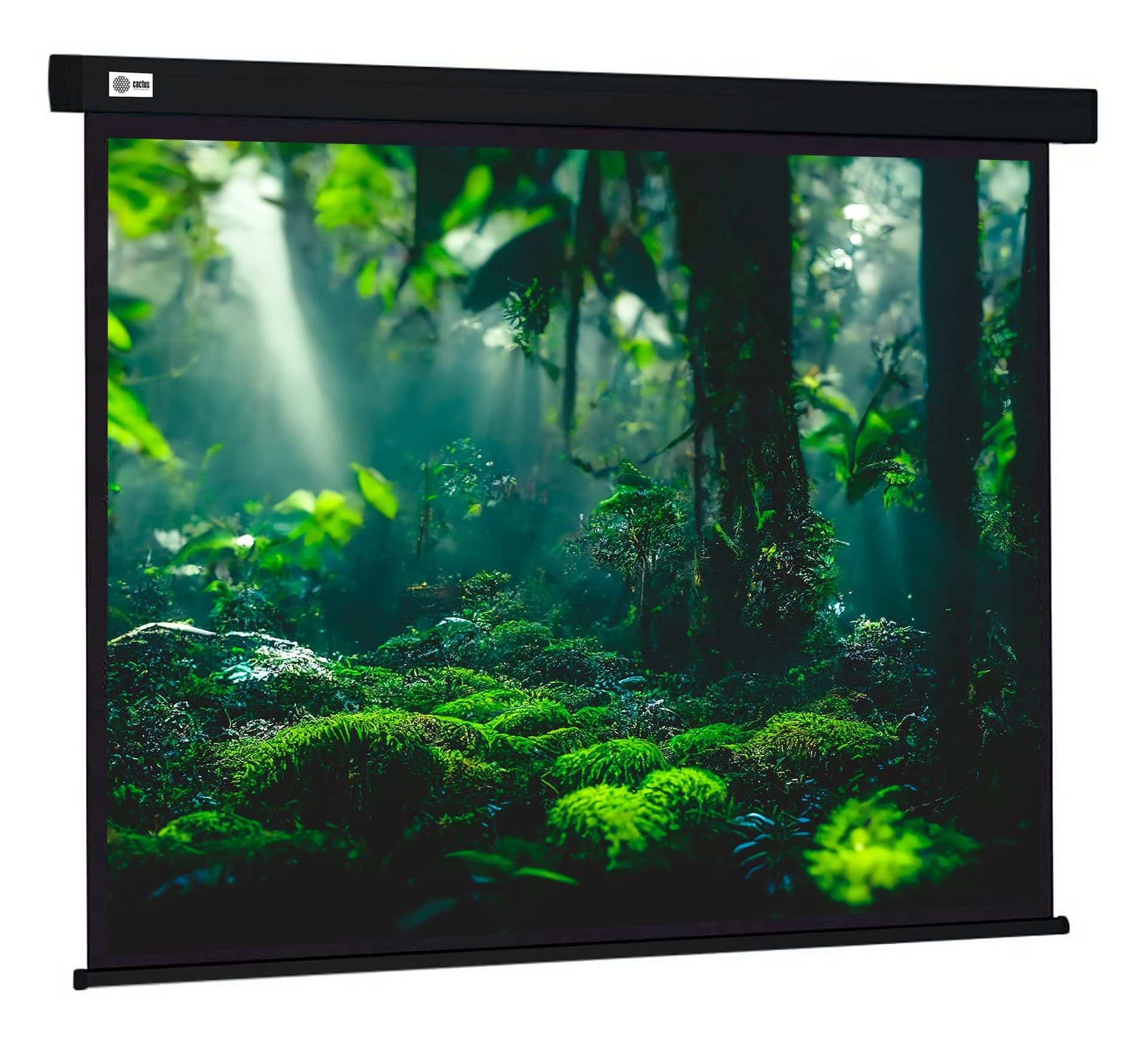 Cactus Экран проекционный CS-PSW-213X213-BK 119" 213x213см 1:1 настенно-потолочный